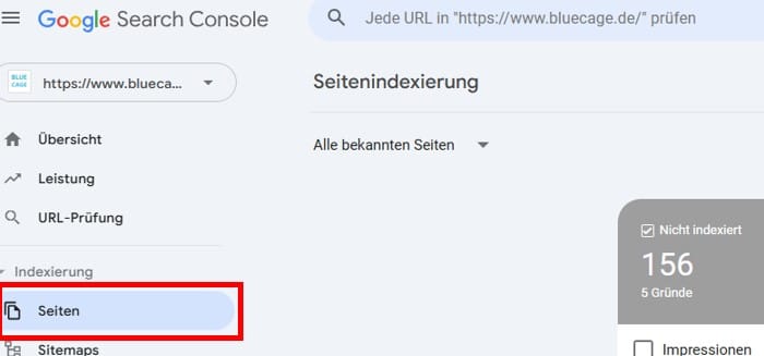 Google Indexierung 9 | SEO Beratung - SEO Freelancer